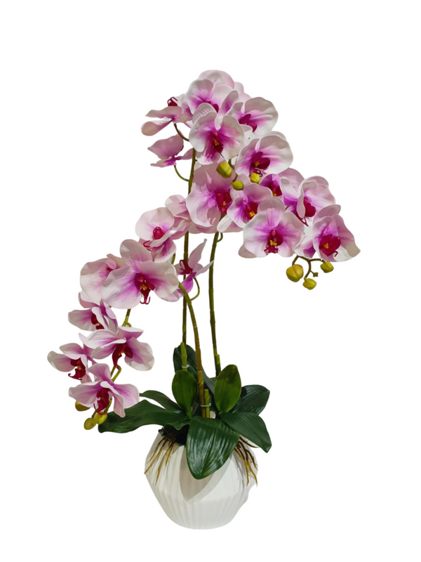 Orchid Plant White/Purple With Modern Pot - Faux