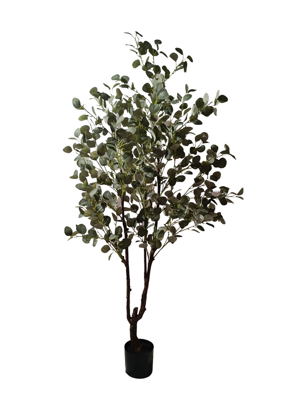 Eucalyptus Plant 1.8m - Faux