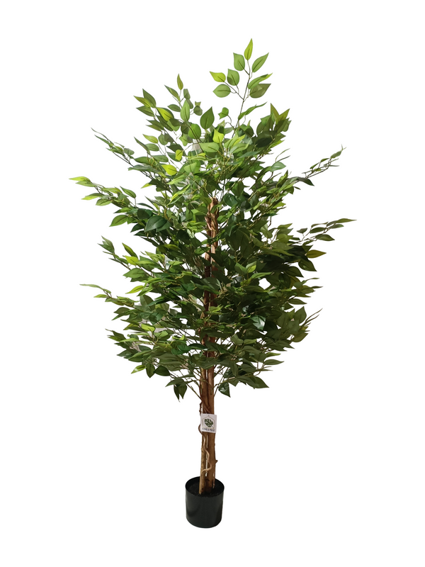 Ficus Plant Tree 1.7m (Small Leaves) - Faux