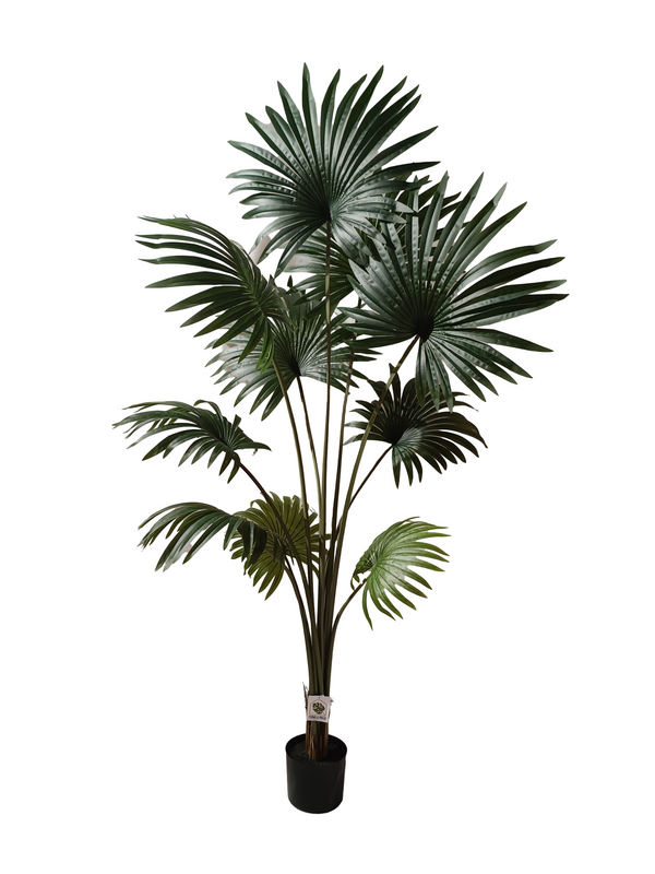 Fan Palm Plant 1.8m - Faux