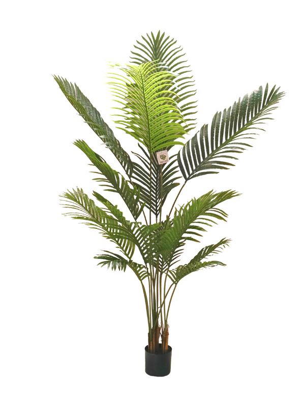 Palm Tree Plant 1.8m - Faux