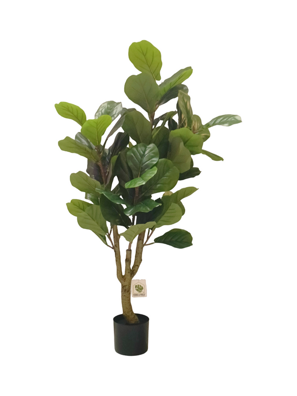 Ficus Plant Tree 1.2m - Faux