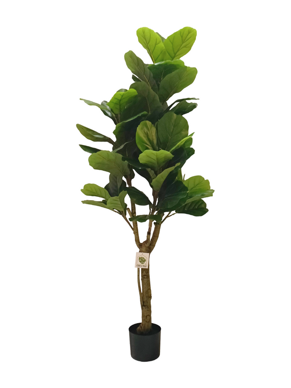 Ficus Plant Tree 1.6m - Faux