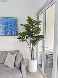 Yucca Tree 1.7m - Faux
