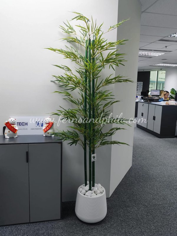 Bamboo Plant 1.8m - Faux