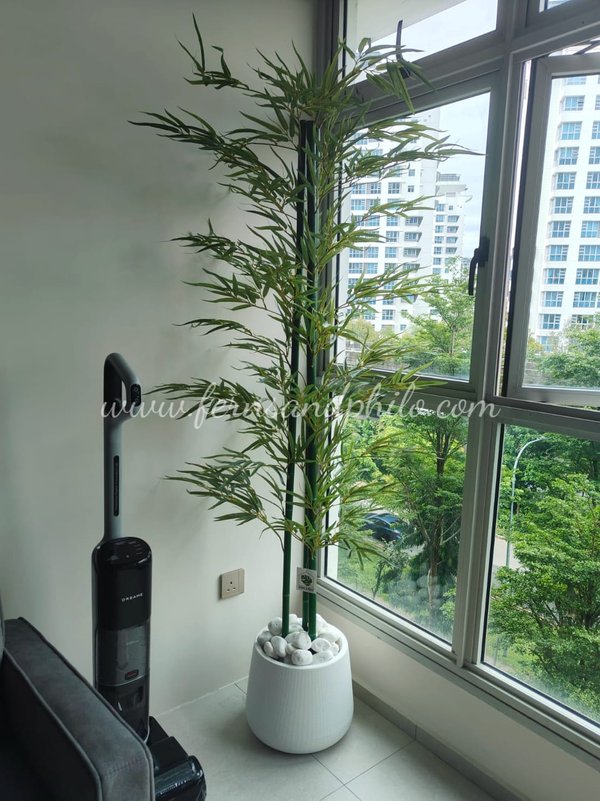 Bamboo Plant 1.8m - Faux