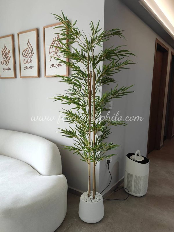 Japanese Bamboo Plant 2m - Faux