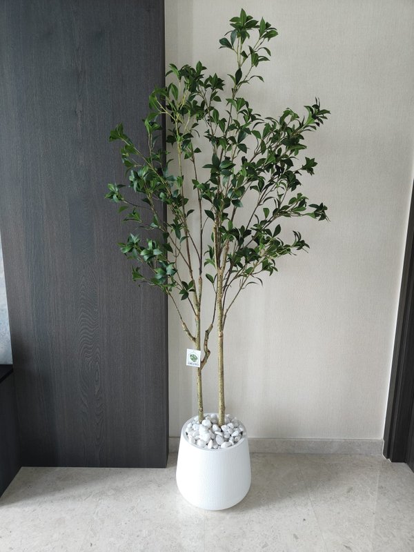 Laurus Nobilis Leaf Tree 1.8m - Faux