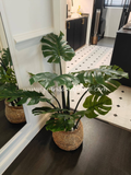 Monstera Plant 1.2m - Faux