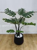 Monstera Plant 1.2m - Faux