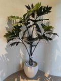 Yucca Tree 1.7m - Faux
