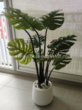 Monstera Plant 1.2m - Faux