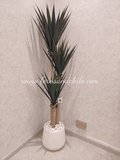 Yucca Tree 1.7m - Faux