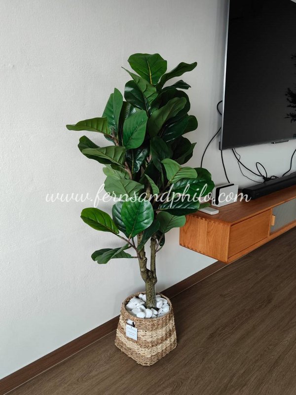 Ficus Plant Tree 1.2m - Faux