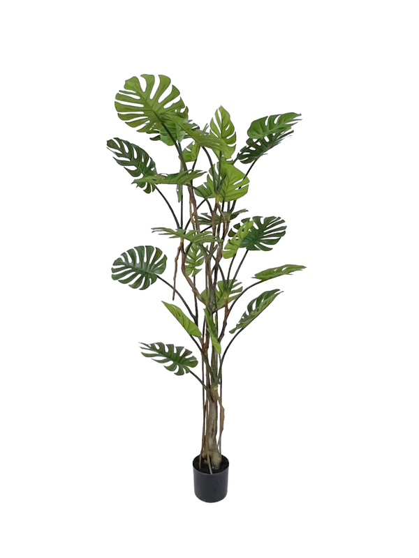 Turtle Back Tree 1.95m - Faux