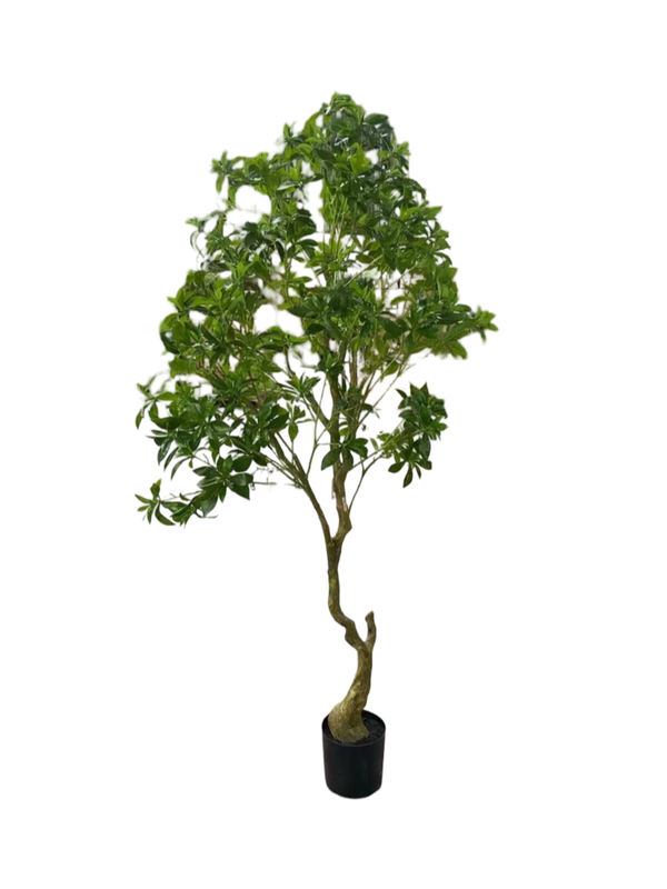 Drunken Tree 2.2m - Faux