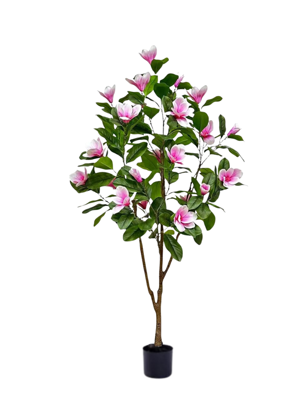 Tulip Magnolia Tree 1.8m - Faux