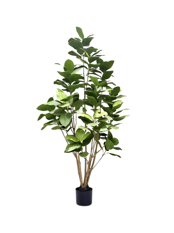 Audrey Ficus Tree 1.8m - Faux