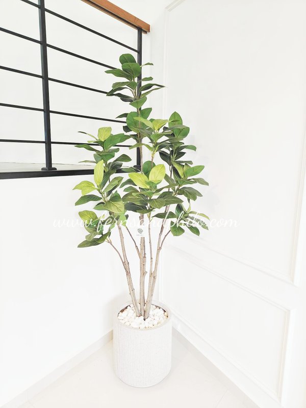 Audrey Ficus Tree 1.8m - Faux