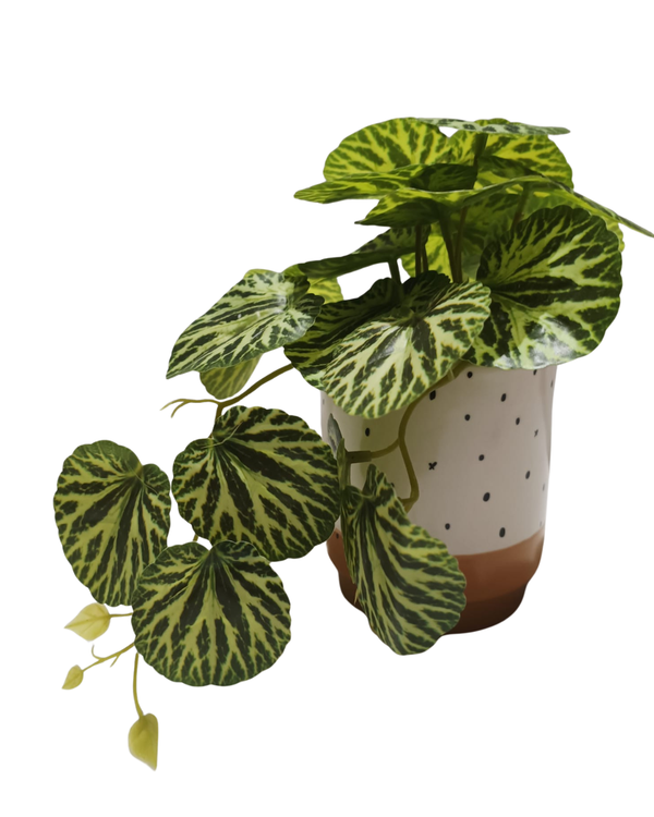 Silver Jewell Begonia - Table Size (Faux)