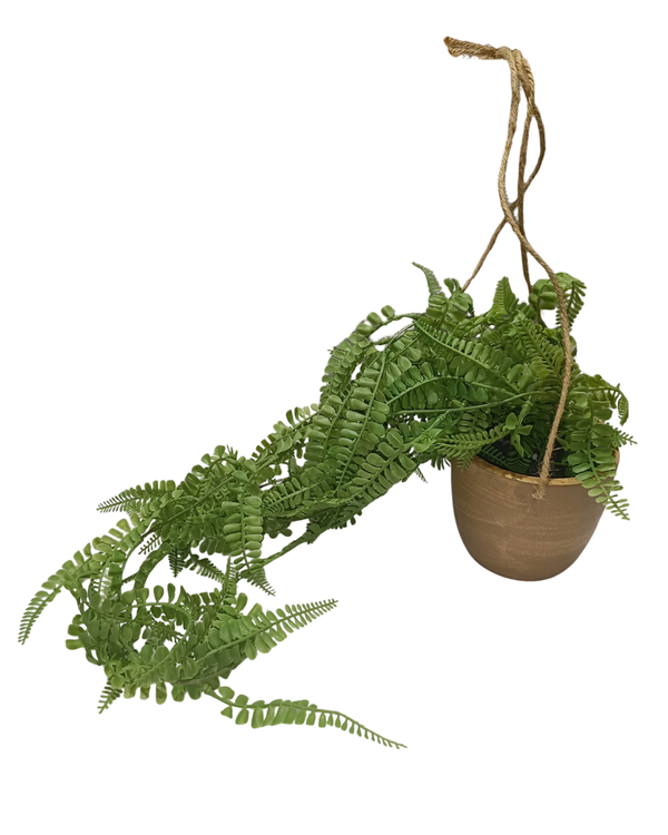 Hanging Boston Ferns - Faux