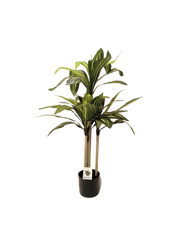 Dracaena Trifasciata Plant 90cm - Faux