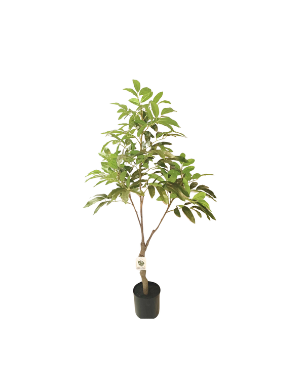 Longan Silk Tree 1.2m - Faux