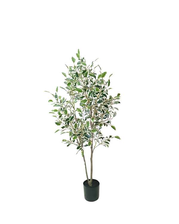 Sunny Ficus Tree 1.2m - Faux