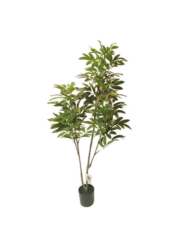 Longan Silk Tree 1.6m - Faux