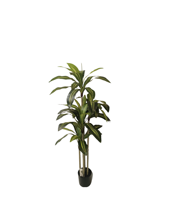 Dracaena Trifasciata Plant 1.2m - Faux