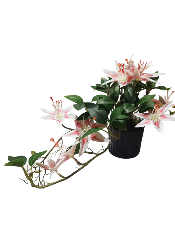 Hanging Lily Plant With Black Pot (Pink) - Table Size (Faux)