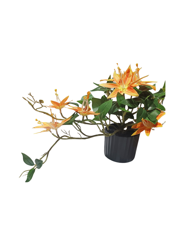 Hanging Lily Plant With Black Pot (Orange) - Table Size (Faux)