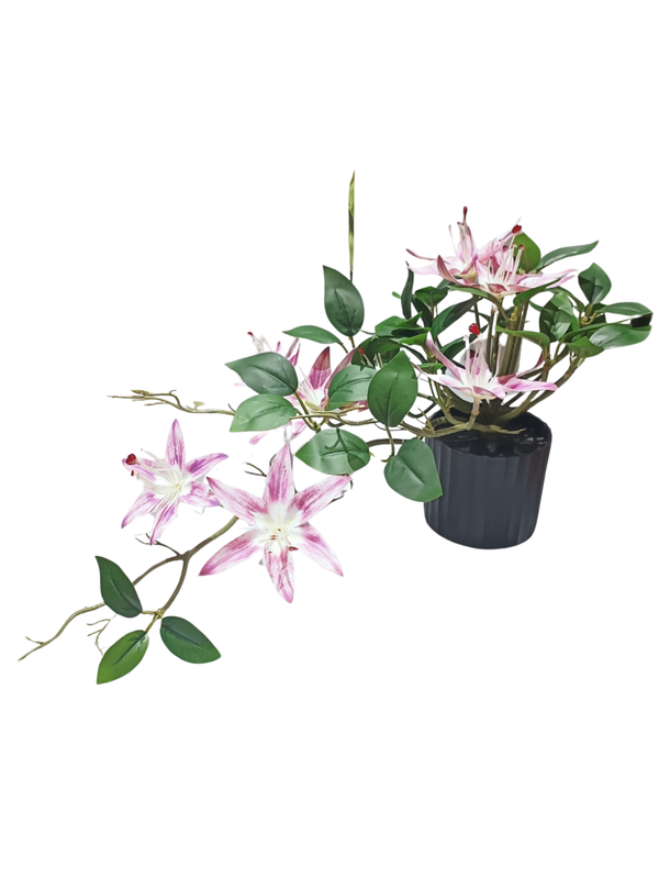 Hanging Lily Plant With Black Pot (Purple/White) - Table Size (Faux)