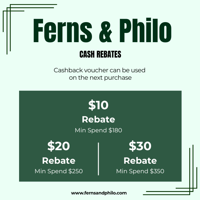 Checkout Page
