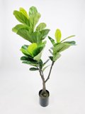 1.2m Ficus Plant - Faux