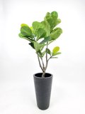 1.2m Ficus Plant (faux) in Black pot