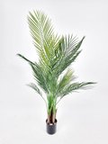 Palm Tree Plant 1.6m - Faux 