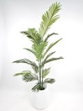 Palm Tree Plant 1.8m - Faux (In white Pot)
