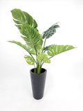 Monstera Plant 1.2m - Faux (In Black Pot)