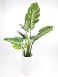 Monstera Plant 1.2m - Faux (In White Pot)