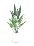Sky Bird Plant 1.2m - Faux (In White Pot)