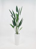 Sky Bird Plant 1.6m - Faux (In White pot)