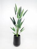 Sky Bird Plant 1.8m - Faux (In Black pot)