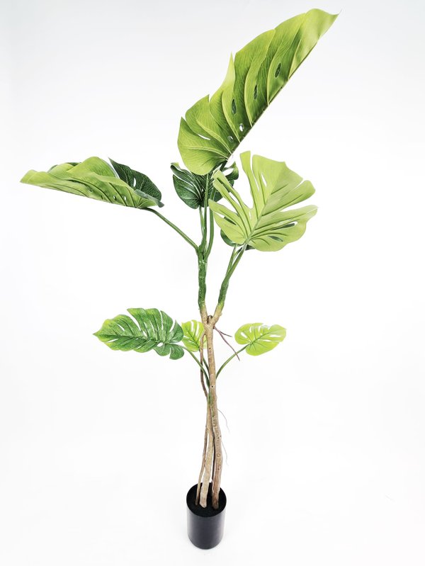 Monstera Plant 1.7m - Faux