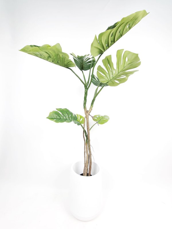 Monstera Plant 1.7m - Faux