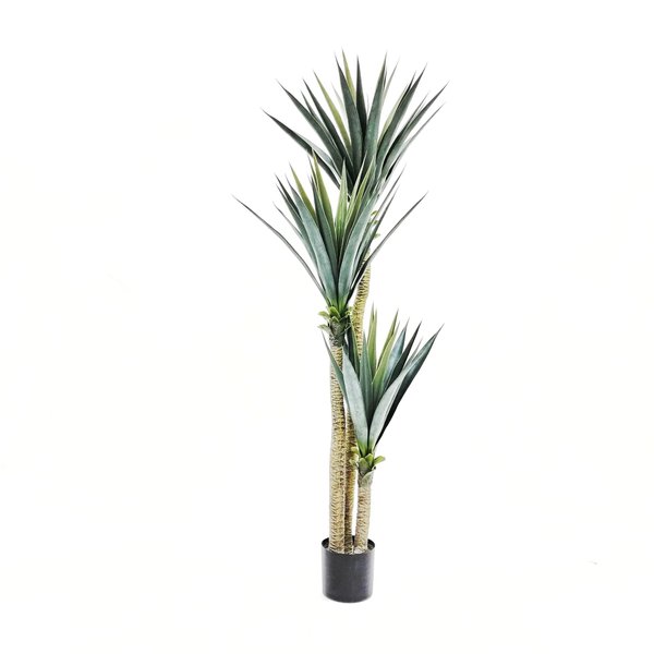 Yucca Tree 1.7m (Thick Leaves) - Faux