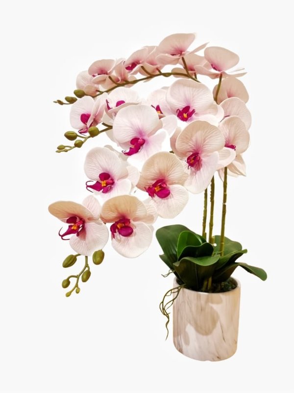 Orchid Plant (White / Purple) - Faux