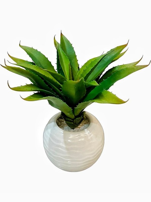 Agave Plant With White Round Pot - Table Size (Faux)