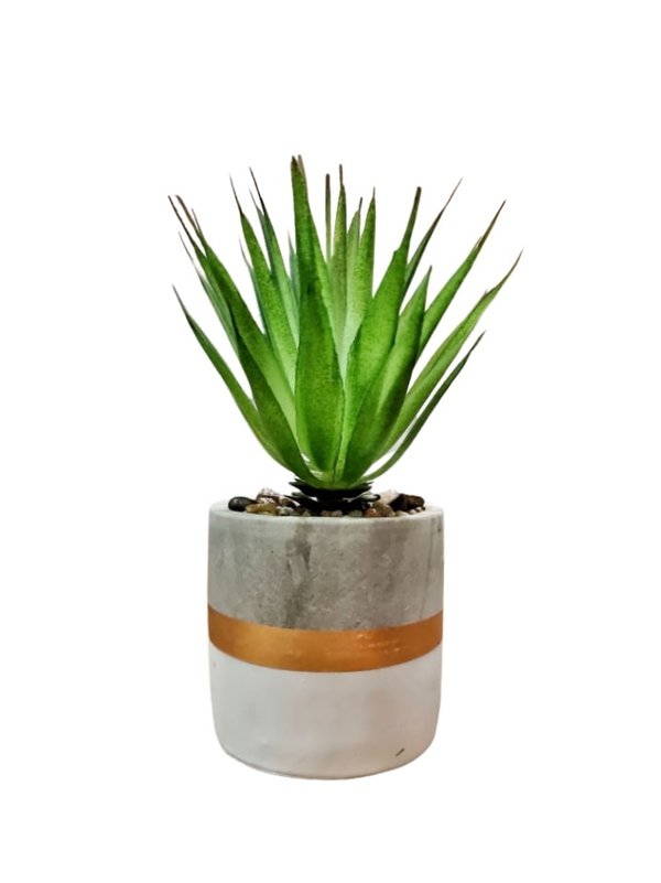 Sisal Plant with Design Pot (Table Size) - Faux