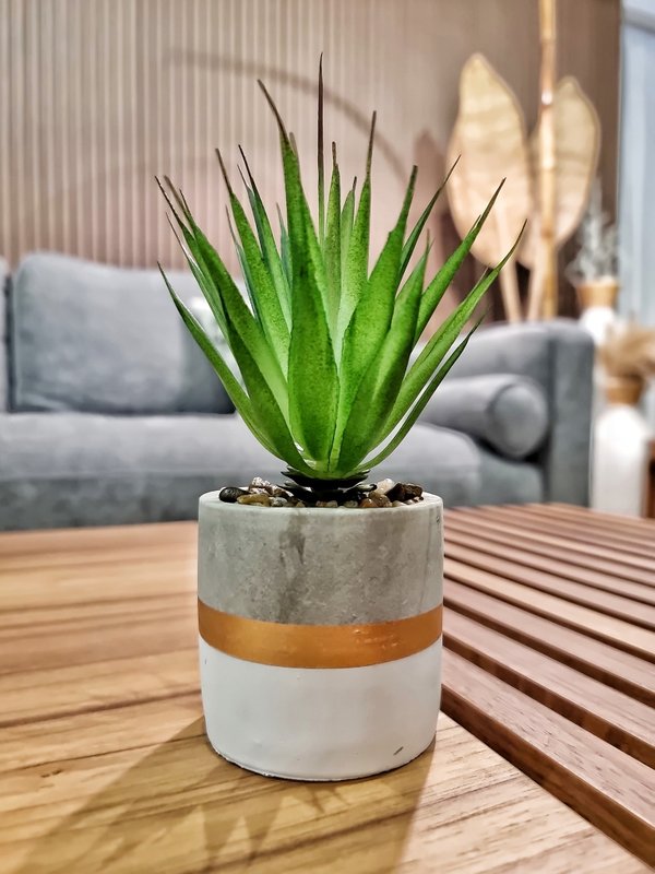 Sisal Plant with Design Pot (Table Size) - Faux